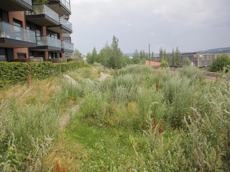 Villnis skal bli park