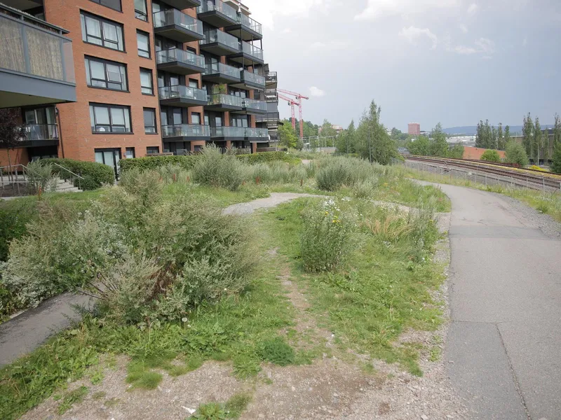 Baneparken grenser ned mot gang- og sykkelveien til høyre på bildet, og opp mot bebyggelsen i Lars Husmanns gate, til venstre i bildet