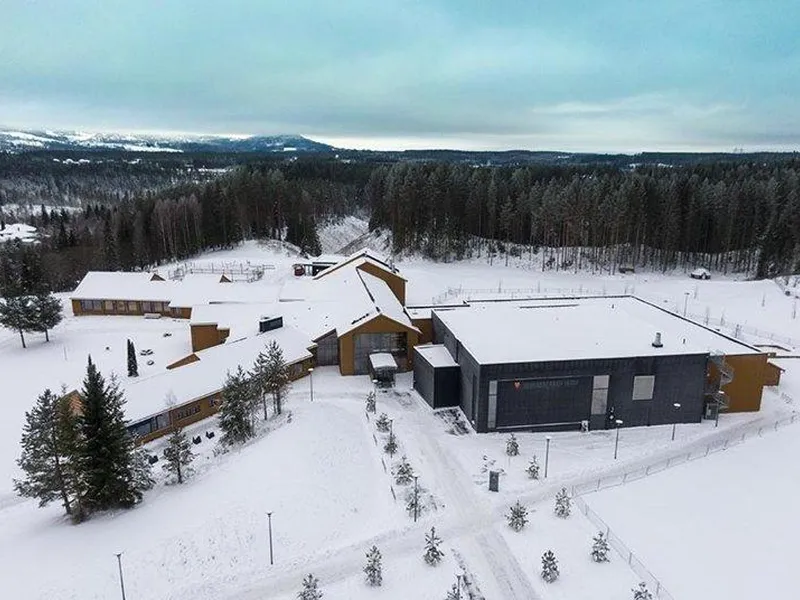 None