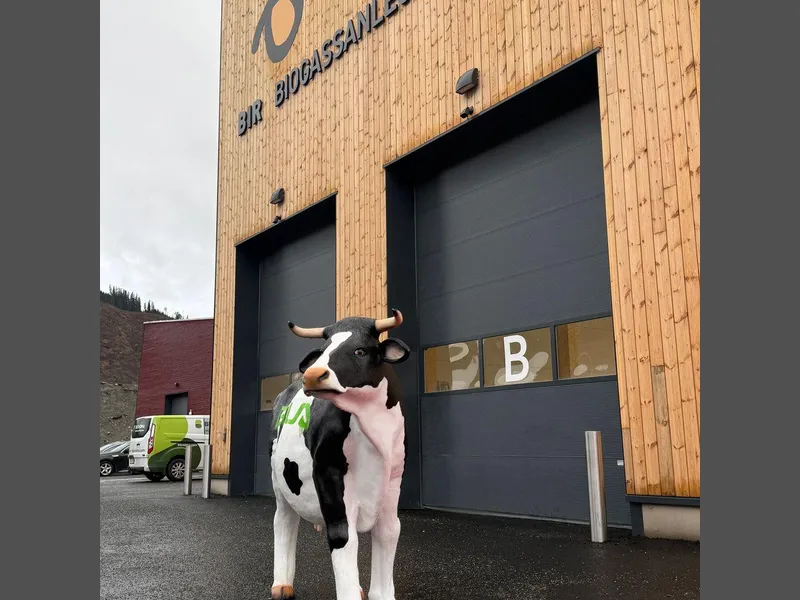 Ved BIRs biogassanlegg på Voss skal matavfall og kumøkk bli til fornybar biogass og næringsrik biogjødsel.