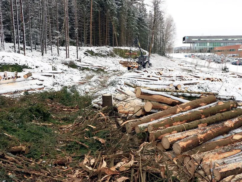 Skogen ryddes for å klargjøre plass til ny brannstasjon på Remmen - Klikk for stort bilde