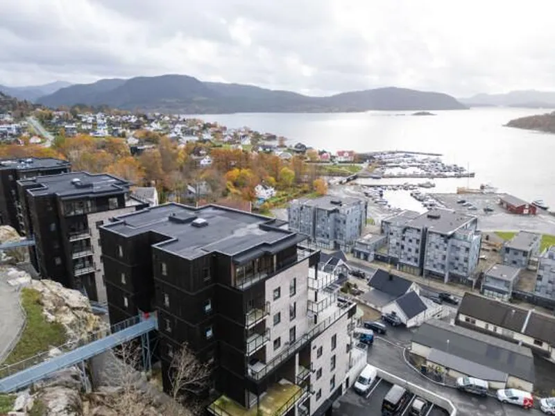 Direktørens Høyde. Foto: SKARP, Backe