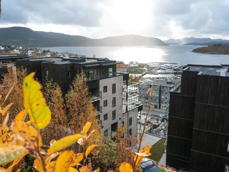 Direktørens Høyde. Foto: SKARP, Backe