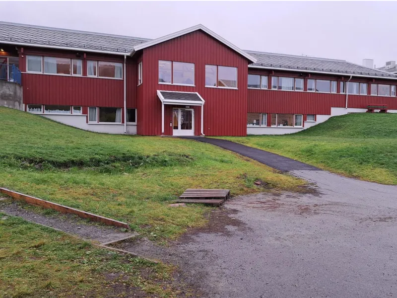 bygning, skole, gress, plen