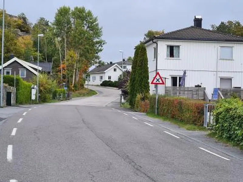 Langs Haneholmveien er det både landbruk og private boligeiendommer