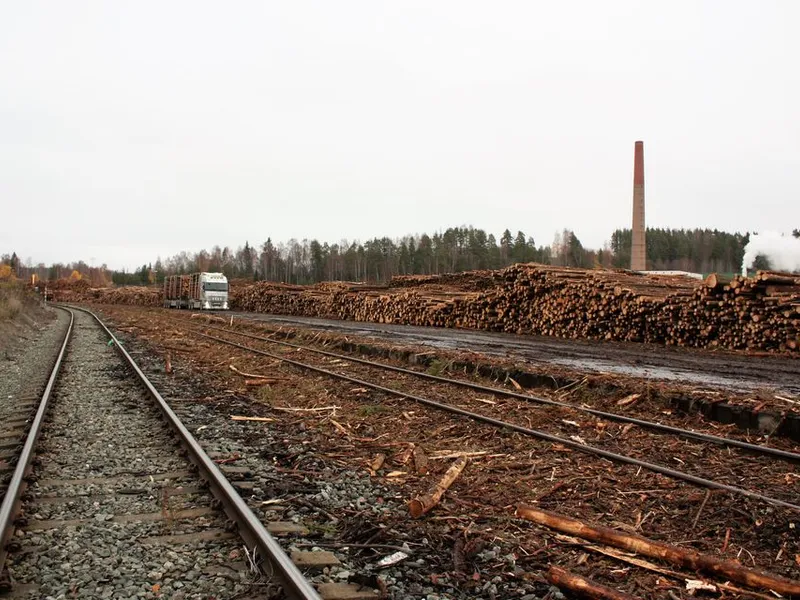 Tømmeret kommer i dag på bil til terminalen på Follum, hvor det blir lastet over på tog. Foto: Bane NOR