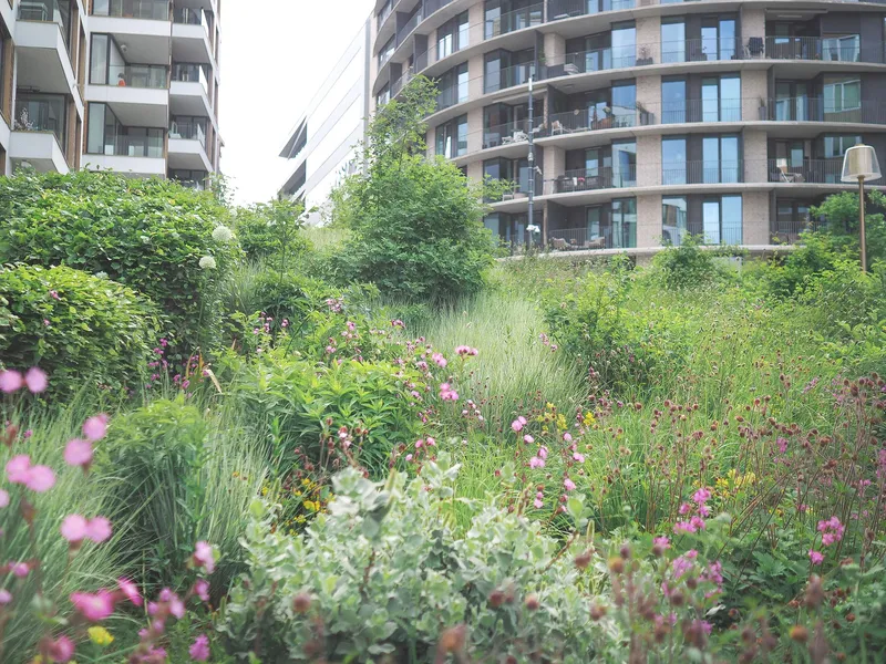 Blomsterbed i forgrunnen med leiligheter i bakgrunnen på Fru Kroghs brygge