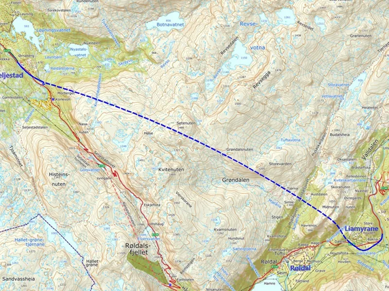 Bildet viser eit kart der ein ser kvar den nye E134 mellom Røldal og Seljestad skal gå.