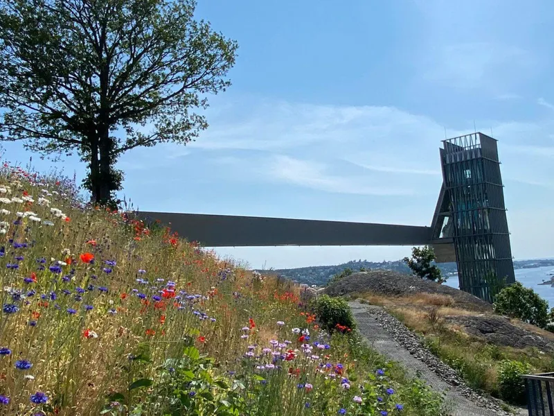 Blomstereng i randsone, med glassheisen i bakgrunnen og utsikt over Galtesund