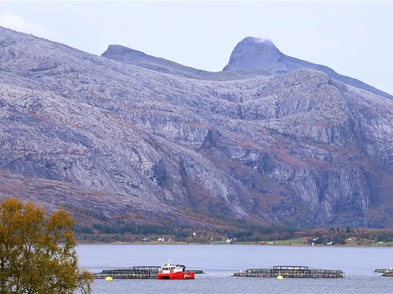 Oppdrettsanlegg i fjord, omgitt av fjell med en rød båt som ligger ved en av merdene.  - Klikk for stort bilde