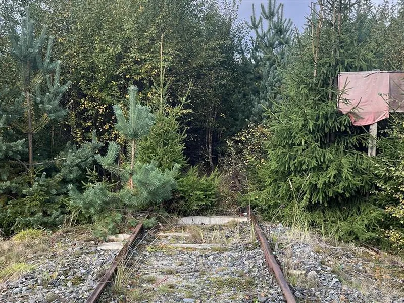 Jernbaneskinner som går inn i vegetasjonen - Klikk for stort bilde