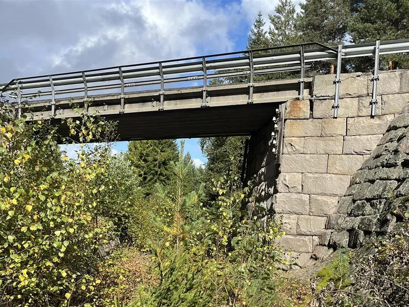 En bru med en del vegetasjon under - Klikk for stort bilde