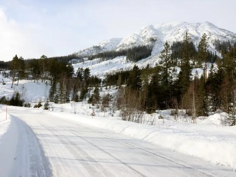 Vei forsvinner innover i bildet fra høyre mot venstre, Skogområde og snødekt fjell i bakgrunnen.