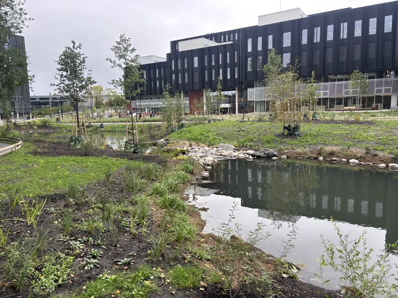 Gaustadbekken