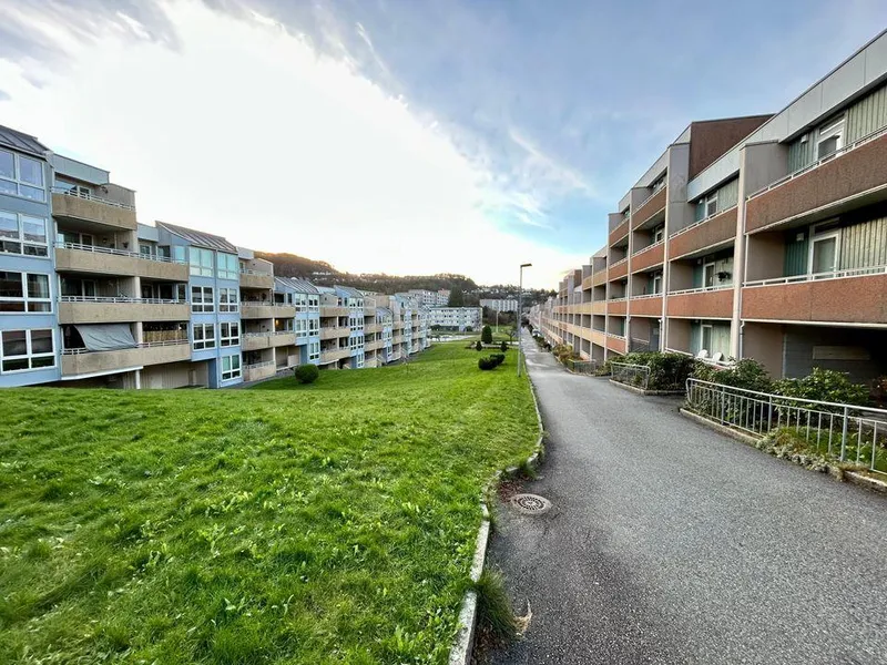 Vestre Sælemyr borettslag ligger i Fyllingsdalen utenfor Bergen, og består av syv lavblokker med i alt 361 leiligheter.