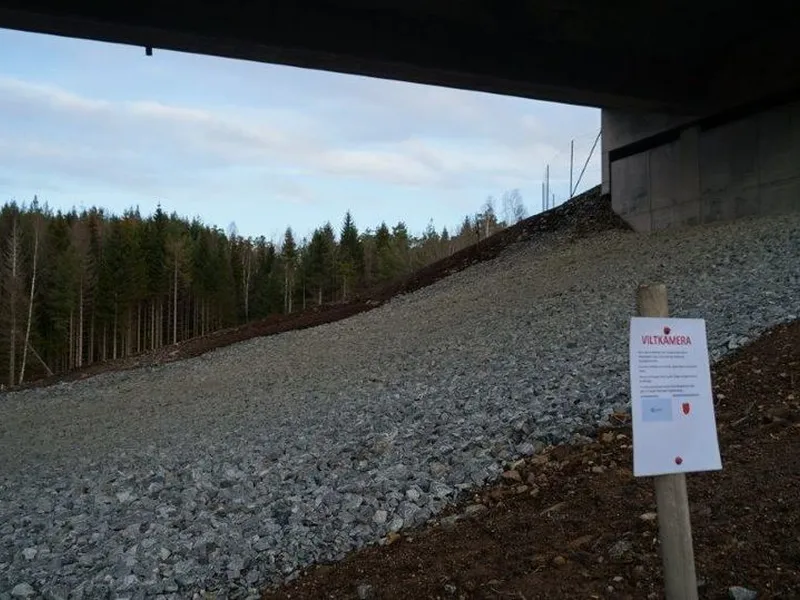 Mørkoppdalen