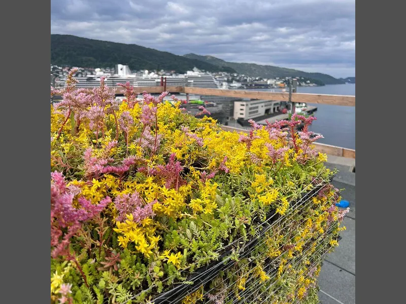 På taket er det etablert sedum produsert av gjenbrukte materialer. Foto: LAB Eiendom