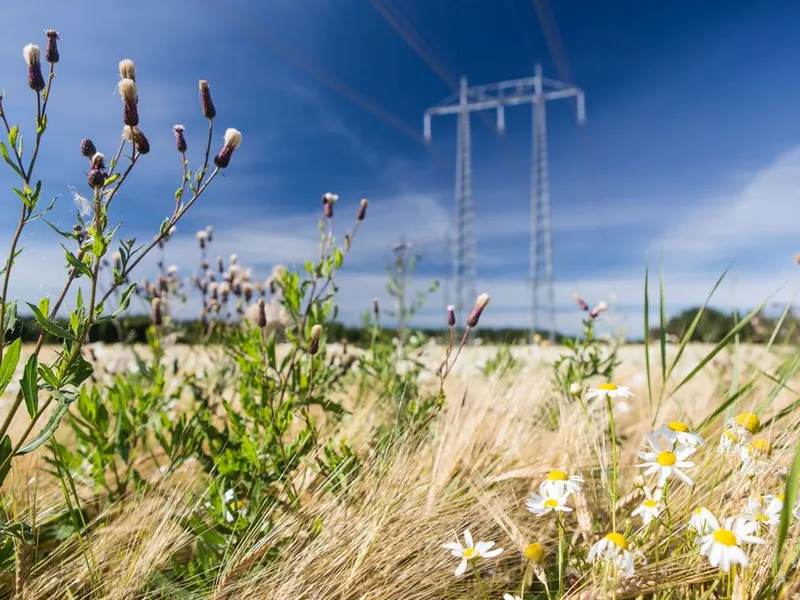 Illustrasjonsbilde: Kanonaden Entreprenad skal utføre bygge- og installasjonsarbeidet for en ny seriekompenseringsstasjon i Isovaara for Svenska kraftnät sammen med Hitachi Energy.
