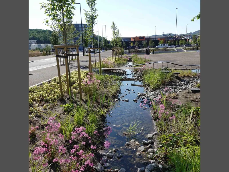Regnvannet fra torget og de harde flatene samles i et regnbed, som føres videre til Kanalparken. Trær og stauder tilfører farger og vil etter hvert dekke bakken langs bekkeløpet. Foto Dronninga landskap AS.