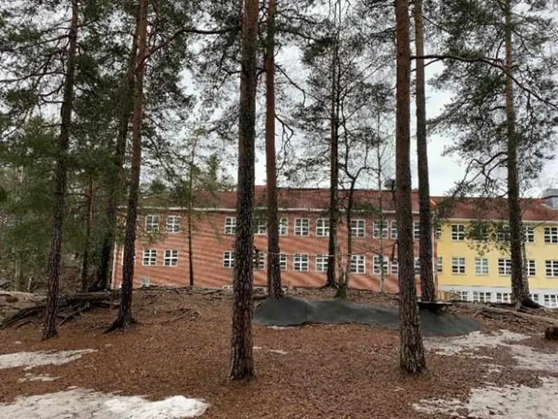 Skogholt foran skolebygning - Klikk for stort bilde