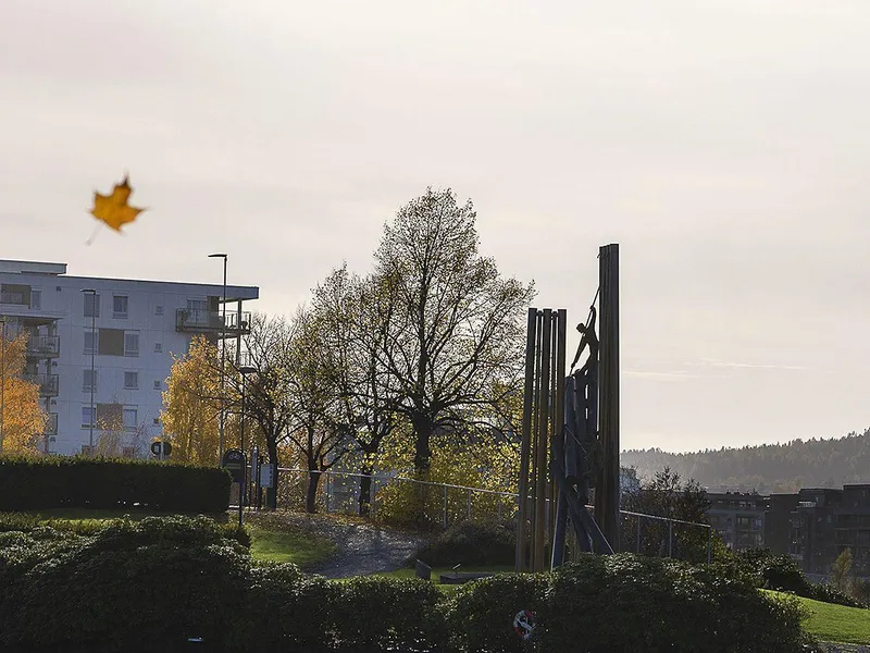 Klosterøya Vest byggetrinn 5 høstdagen demrer med fine uteområder å boltre seg i
