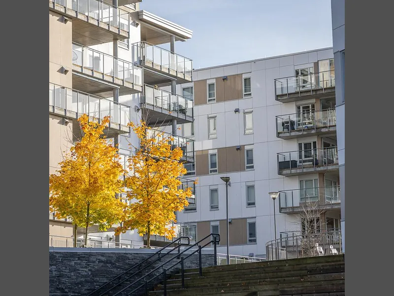 Klosterøya Vest byggetrinn 5 fellesarealet med trær og fine uteområder