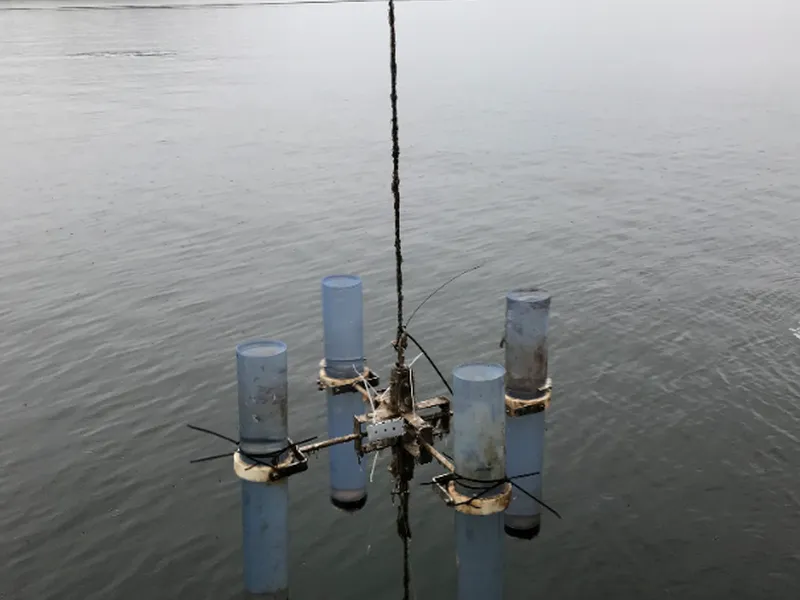 Sedimentfellerigg med påmonterte passive prøvetakere 