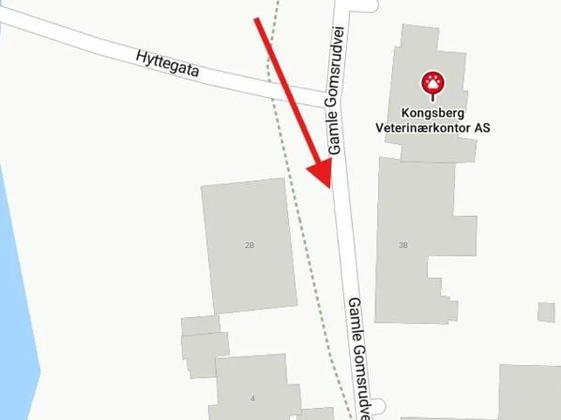 Kartutsnitt som viser Gamle Gomsrudvei med Kongsberg Veterinærkontor AS markert, og en rød pil som peker sørover.