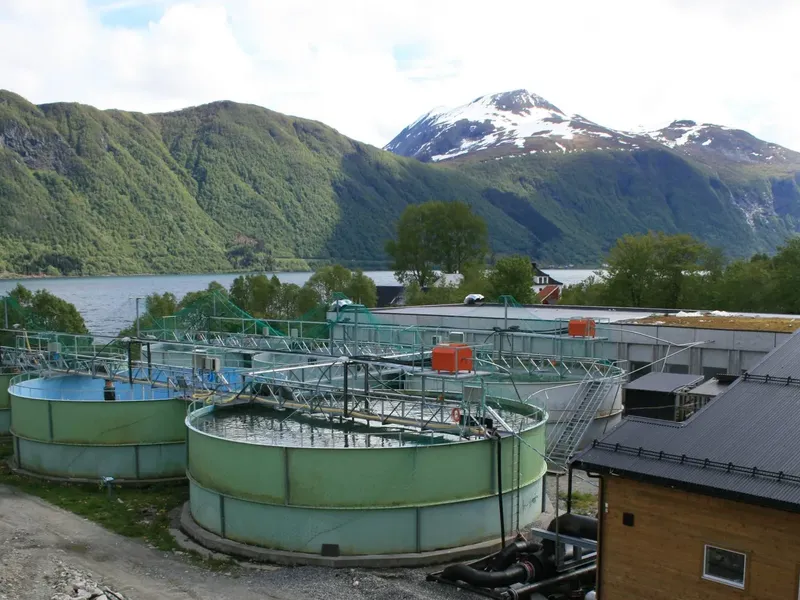 MOwi Dalsfjord