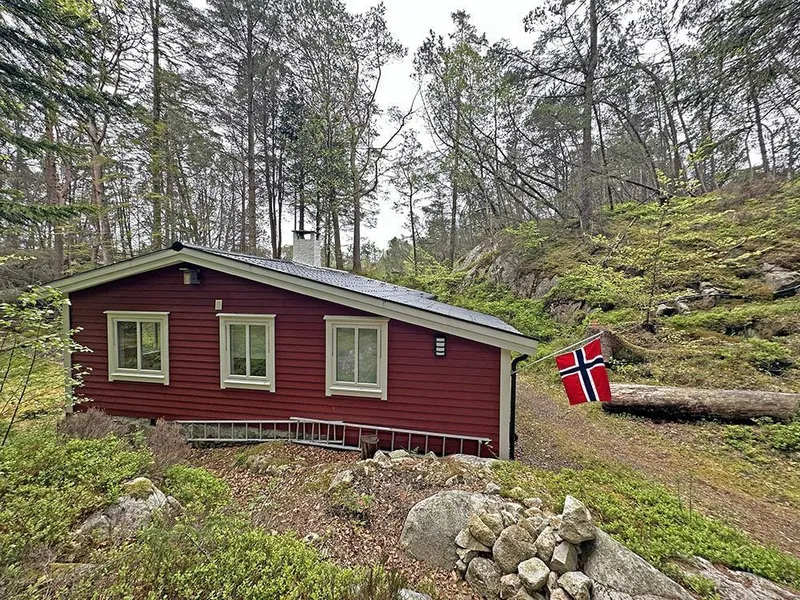 hytte i skog med norsk flagg - Klikk for stort bilete