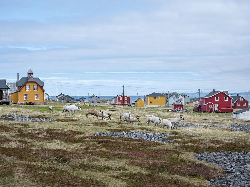 Flere trehus i kystlandskap.