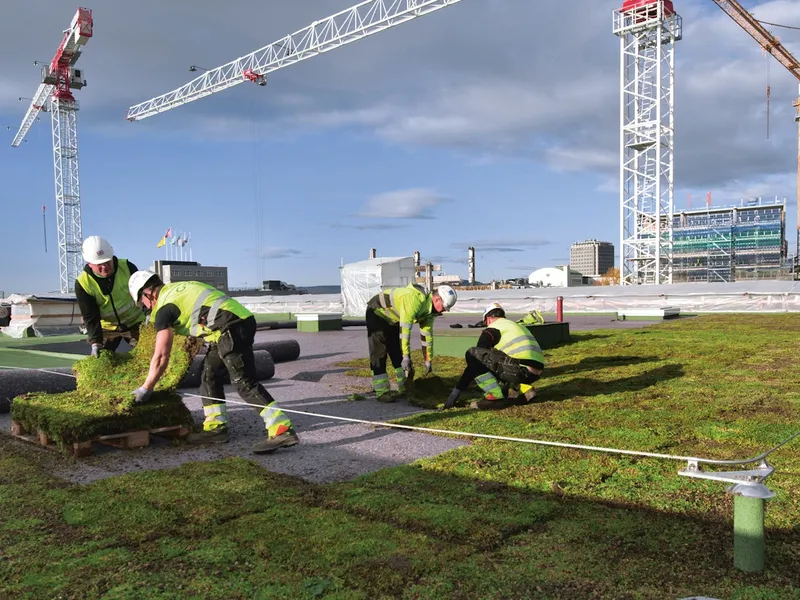 Planting av sedum på taket til det nye Nasjonalmuseet