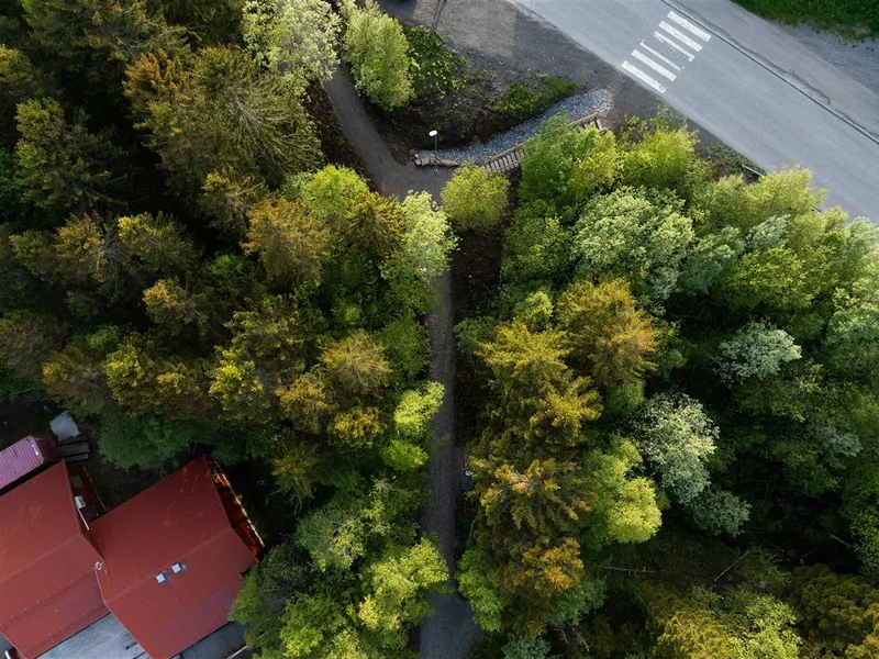 En grusvei gjennom skogen - Klikk for stort bilde