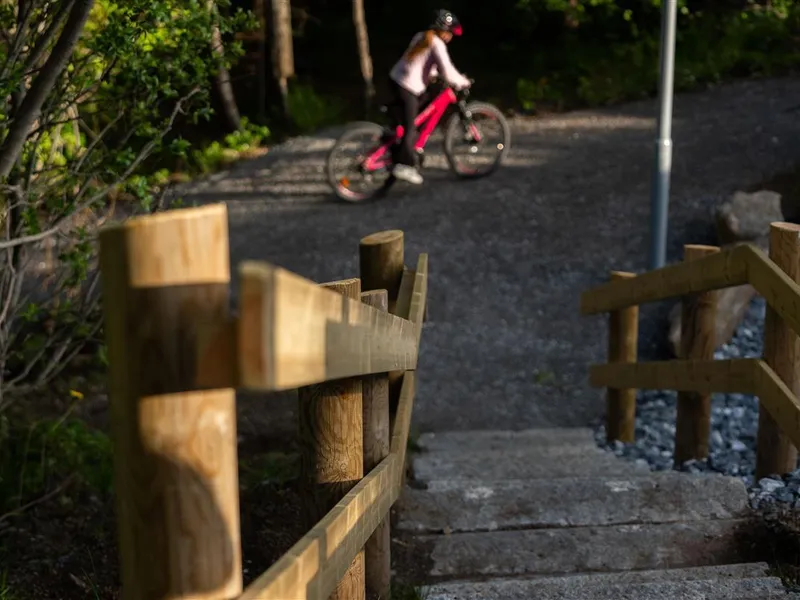 En grusvei gjennom skogen - Klikk for stort bilde