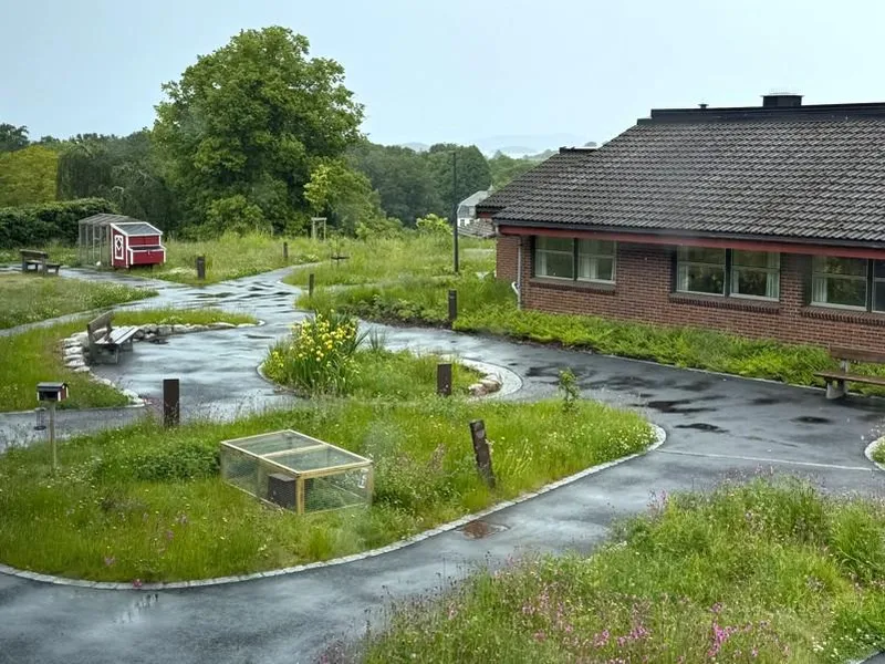 Overblikksbilde av uteområdet til Ramsvigtunet sykehjem. En fin hage med grønt gress og planter. 