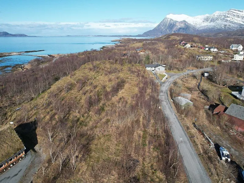 Bilde over Øya