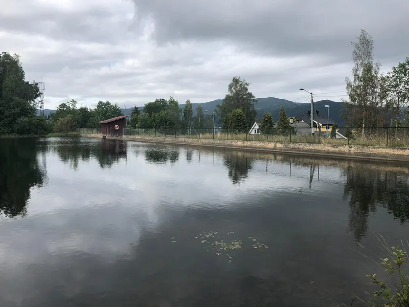 Bilde av Åsendammen. Vann med demning og trær rundt. 