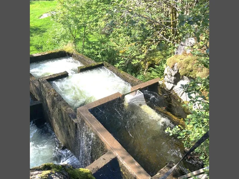Fisketrappene i Hovefossen ble opprinnelig bygget i 1975. Fisketrappene bidrar til at laks og ørret kommer opp til den delen av elva Nausta med de beste gyte- og oppvekstvilkårene. Foto: Norconsult.