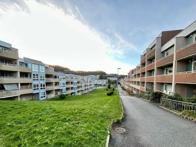Vestre Sælemyr borettslag ligger i Fyllingsdalen utenfor Bergen, og består av syv lavblokker med i alt 361 leiligheter.