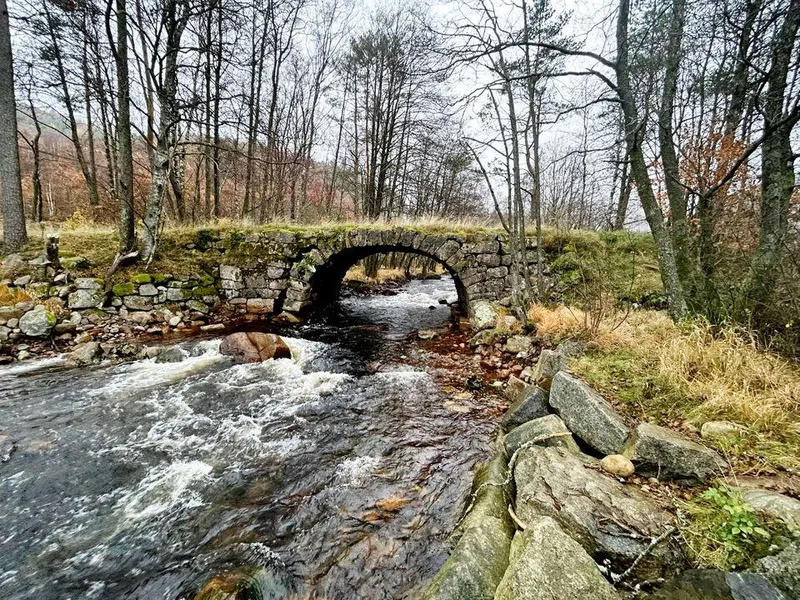 Statens vegvesen skal i sommer restaurere den gamle steinhvelvbrua Oftedal bru som krysser elva Litleåna ved Lyngdal.