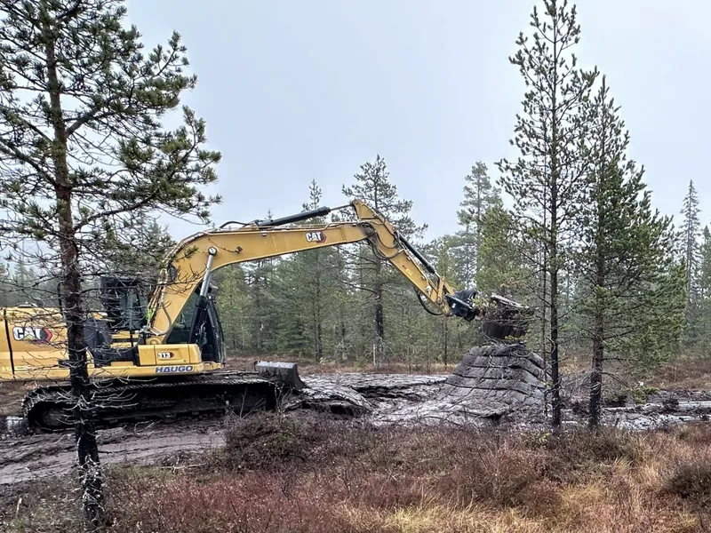 Entreprenør frakter myrmassene inn på den tørrlagte myra. Foto: Statens vegvesen.