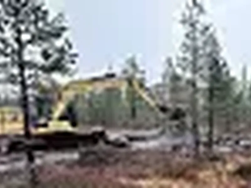 Entreprenør frakter myrmassene inn på den tørrlagte myra. Foto: Statens vegvesen