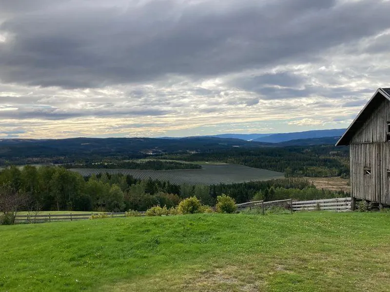 Illustrasjon som viser hvordan Seval skog solkraftverk kan bli seende ut fra Seval gård, nord for planområdet.
