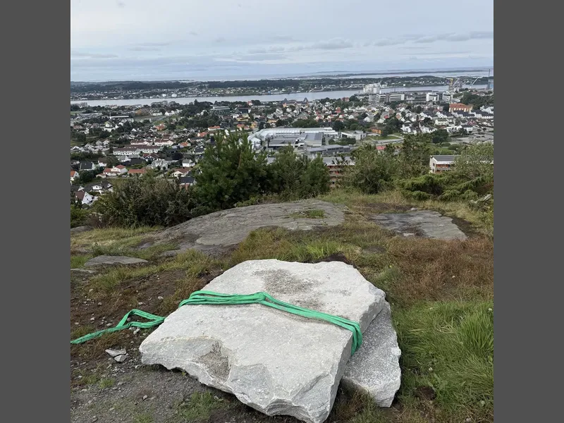 Bilde av steinhelle.  - Klikk for stort bilde