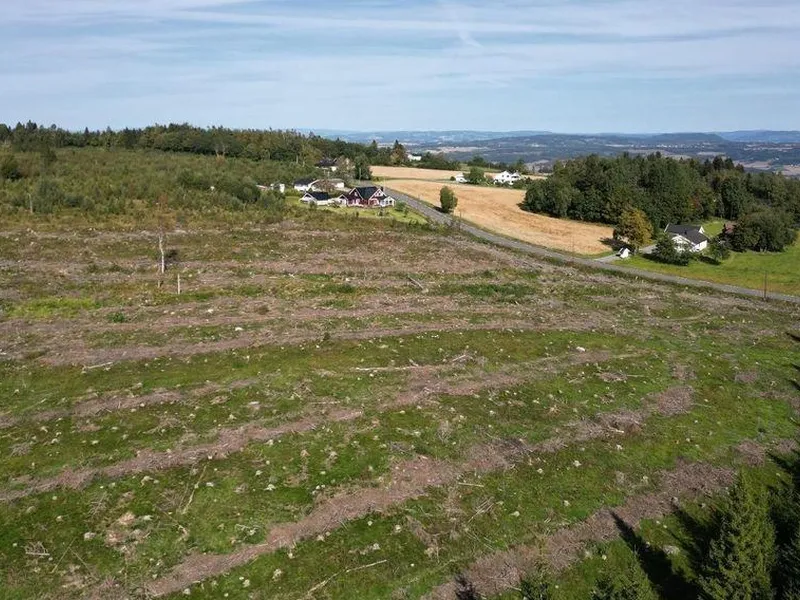 Bildet viser området som skal nydyrkes før det etableres et solkraftverk i samdrift med landbruk. Illustrasjonen er hentet fra konsekvensutredningen.