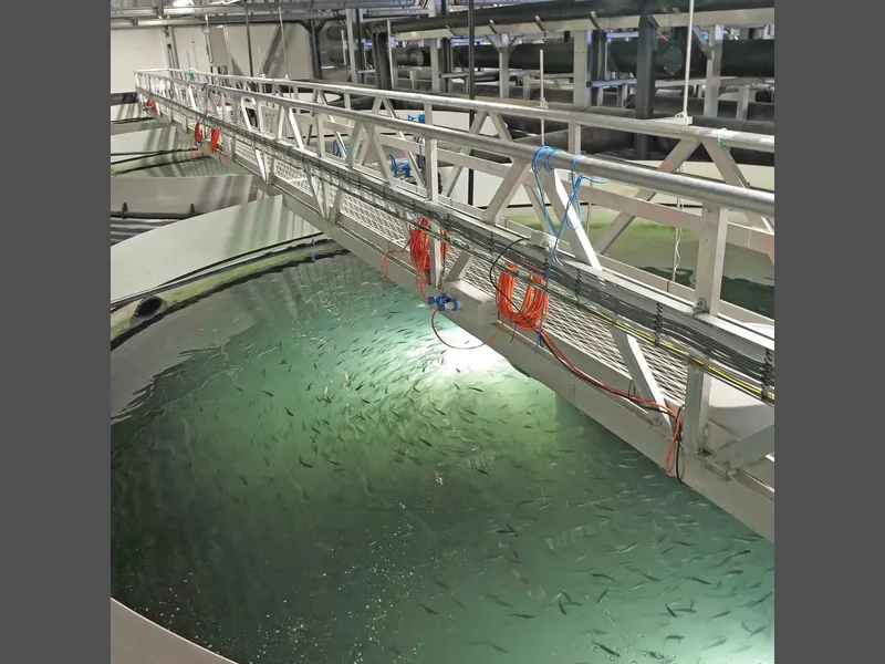 Sundsfjord Smolt 2012
