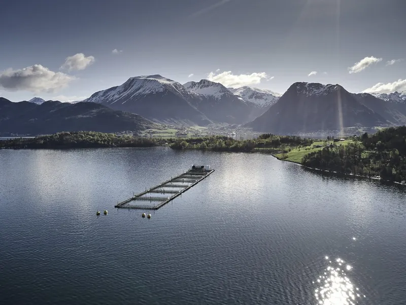 Eide Fjordbruks lokalitet Hågardsneset