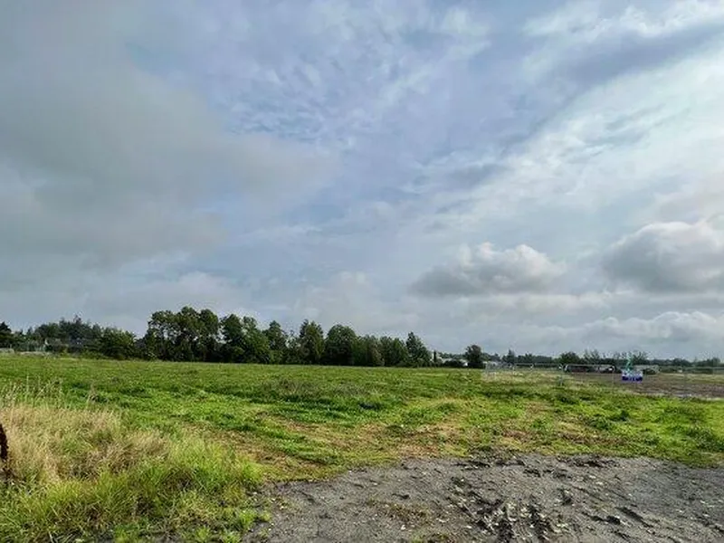 Arnejordet